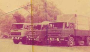 5b5zp